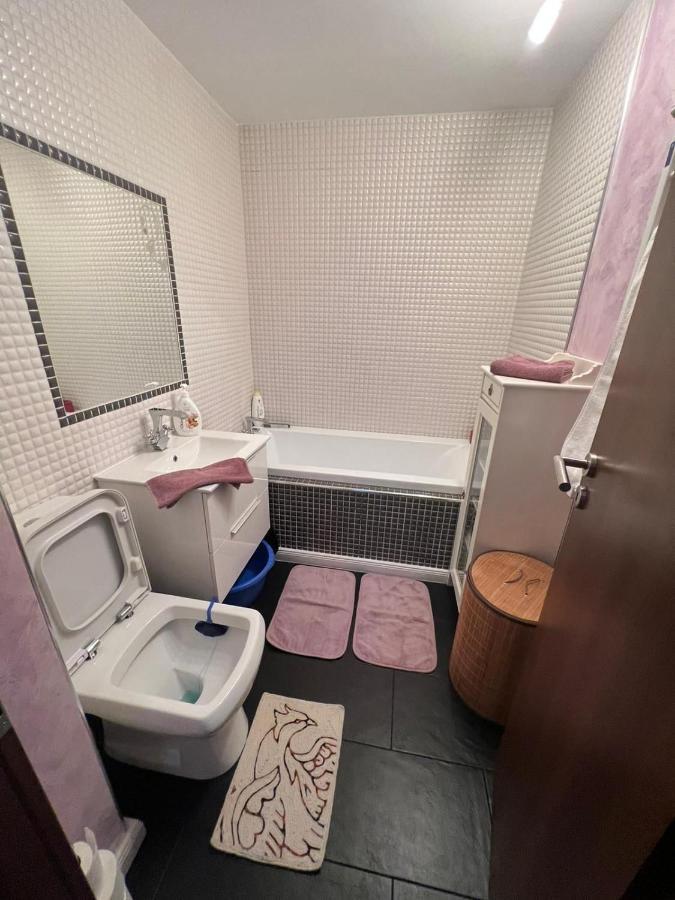 Duck Apartment 부쿠레슈티 외부 사진